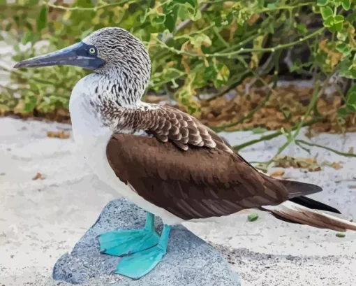 Blue Footed Booby Diamond Painting