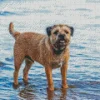 Border Terrier Dog Diamond Painting