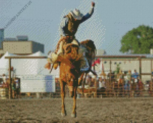 Bucking Horse Diamond Painting