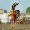 Bucking Horse Diamond Painting