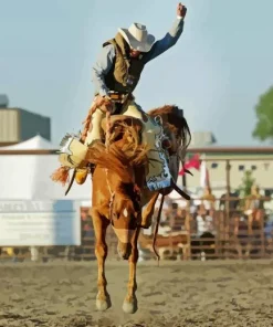 Bucking Horse Diamond Painting