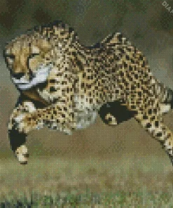 Cheetah Running Diamond Painting