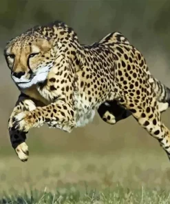 Cheetah Running Diamond Painting