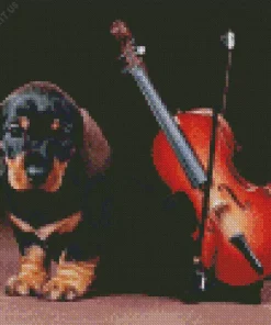 Dog Playing Violin Art Diamond Painting