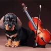 Dog Playing Violin Art Diamond Painting