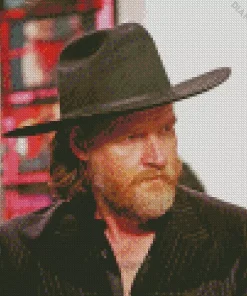 Donal Logue Actor Diamond Painting