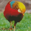 Golden Pheasant Diamond Painting