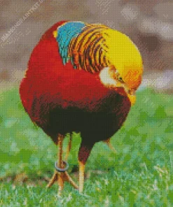 Golden Pheasant Diamond Painting