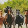 Herd Of Horses Diamond Painting