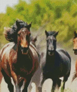 Herd Of Horses Diamond Painting