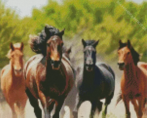 Herd Of Horses Diamond Painting